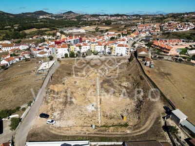 /international/pt/milharado-lisbon-310099652065/