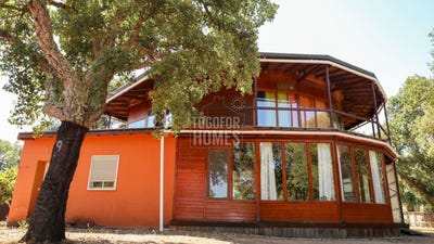 /international/pt/sao-teotonio-beja-310100298501/