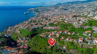 /international/pt/sao-goncalo-madeira-310107566484/