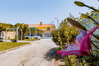 /international/pt/estrada-de-alcolombal-terrugem-lisbon-310109124731/