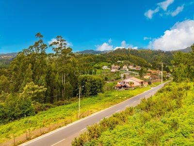 /international/pt/er206-667-gaula-portugal-ilha-da-madeira-madeira-310102342445/