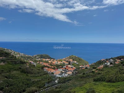 /international/pt/ribeira-brava-madeira-310100962284/