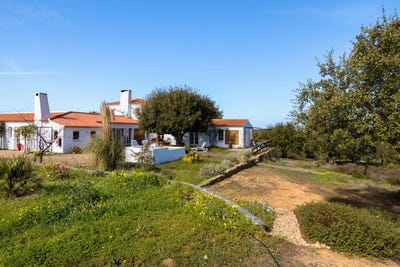 /international/pt/vila-nova-de-milfontes-beja-310106781231/