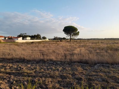 /international/pt/granho-santarem-120091009614/