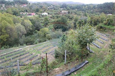 /international/pt/braga-braga-310109015588/