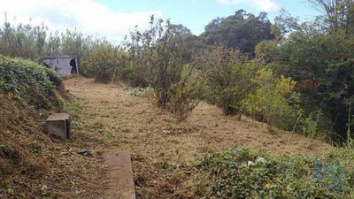 /international/pt/santa-cruz-setubal-municipality-120095297318/