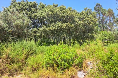 /international/pt/porto-de-mos-leiria-310100438956/?lang=zh-tw