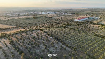 /international/pt/vp9q-qh-vila-boim-portugal-terrugem-lisbon-310103220287/