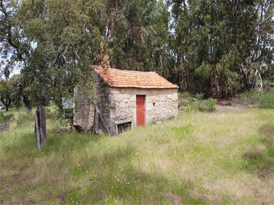 /international/pt/castelo-branco-braganca-310096027739/
