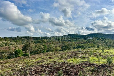 /international/pt/grandola-setubal-municipality-310104461943/