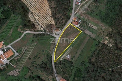 /international/pt/soure-coimbra-120066513104/