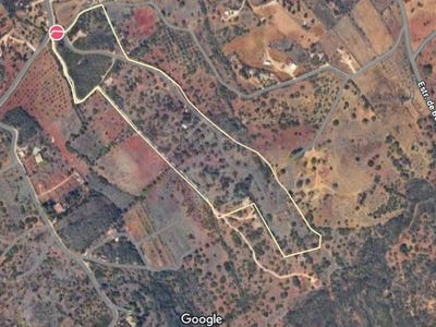 /international/pt/barao-de-sao-miguel-faro-310102849899/