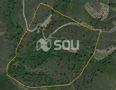 /international/pt/mirandela-mirandela-braganca-310101132498/?lang=zh-tw