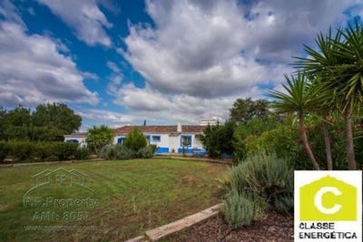 /international/pt/grandola-setubal-municipality-120086471634/