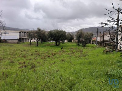 /international/pt/castelo-branco-braganca-310098634947/?lang=zh-tw