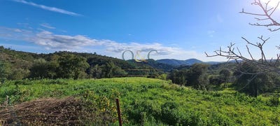 /international/pt/salir-faro-310100712473/?lang=zh-tw