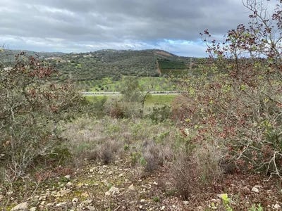 /international/pt/medronhal-paderne-viana-do-castelo-310105229134/