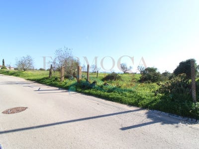 /international/pt/moncarapacho-faro-310104145667/