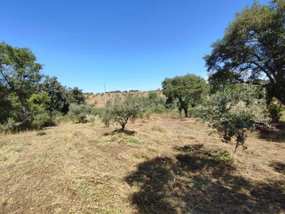 /international/pt/freixial-aldeia-de-santa-margarida-castelo-branco-310105235098/