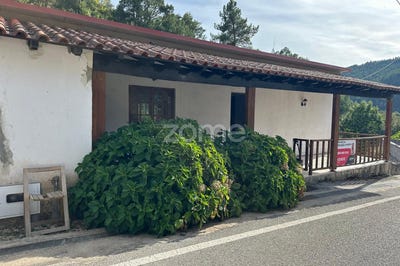 /international/pt/pampilhosa-da-serra-coimbra-310099284363/