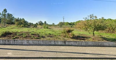 /international/pt/fazendas-de-almeirim-portugal-fazendas-de-almeirim-santarem-310099283047/