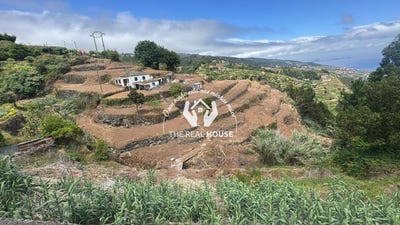 /international/pt/santa-cruz-madeira-310108483552/