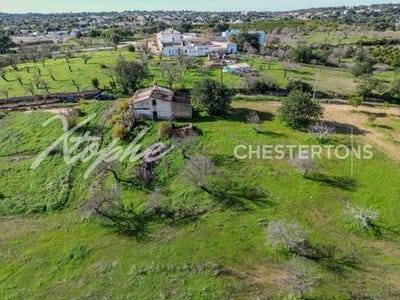 /international/pt/boliqueime-loule-faro-310106520982/