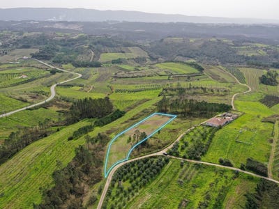 /international/pt/coz-leiria-310106516388/