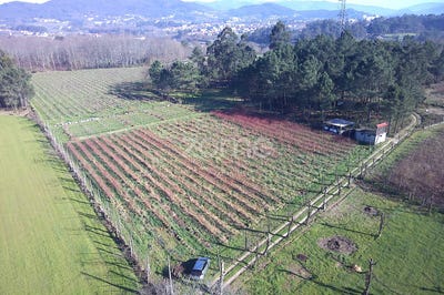 /international/pt/amares-braga-310104038403/