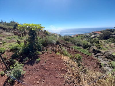 /international/pt/gaula-santa-cruz-madeira-310094307375/