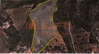 /international/pt/torres-novas-sao-pedro-santarem-310106105217/