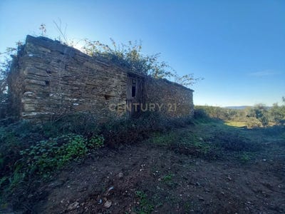 /international/pt/brejo-carapetosa-sarnadas-de-rodao-castelo-branco-310105250436/