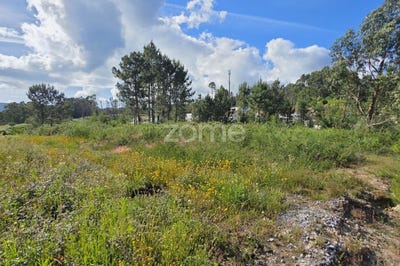 /international/pt/vila-verde-braganca-310108183188/