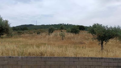 /international/pt/salgueiro-do-campo-castelo-branco-310101442395/?lang=zh-cn
