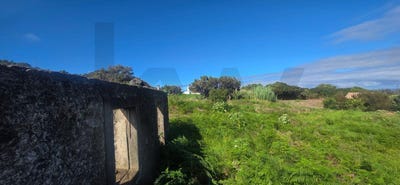 /international/pt/achadas-da-cruz-madeira-310106220435/