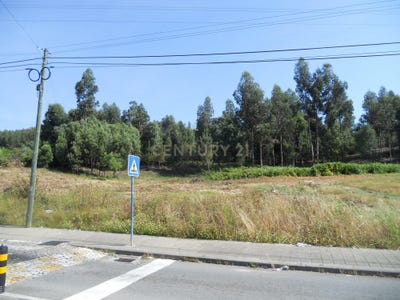 /international/pt/lugar-borbulhao-de-cima-campo-madeira-310106510429/