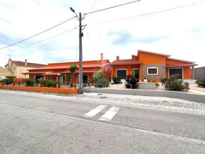 /international/pt/guia-ilha-e-mata-mourisca-pombal-braga-120093351948/