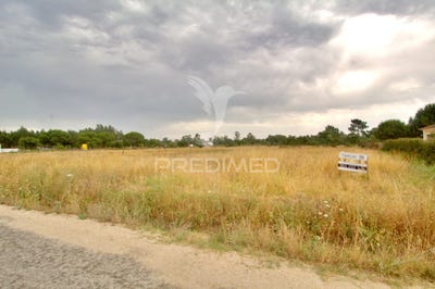 /international/pt/gloria-do-ribatejo-e-granho-salvaterra-de-magos-santarem-310100667138/