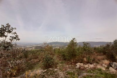 /international/pt/santo-tirso-braga-120060876824/