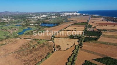 /international/pt/loule-faro-120086453196/