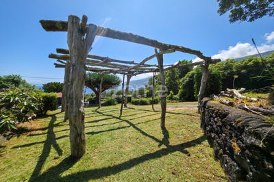 /international/pt/sao-roque-do-pico-azores-310100290769/?lang=zh-cn