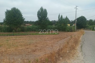 /international/pt/montemor-o-velho-coimbra-310100731681/