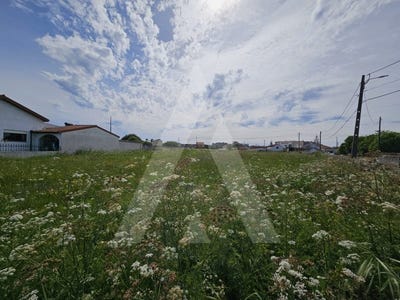 /international/pt/aradas-coimbra-310100274597/