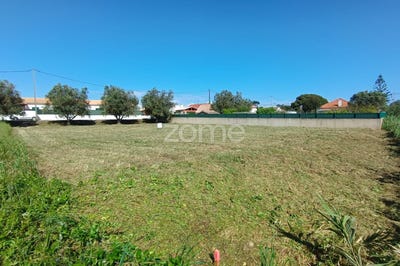 /international/pt/sesimbra-setubal-municipality-310101413554/?lang=zh-cn