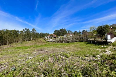 /international/pt/arcos-de-valdevez-viana-do-castelo-310098920607/