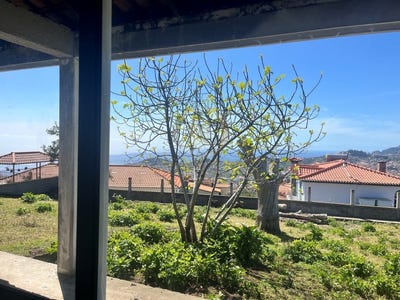 /international/pt/monte-madeira-310105993405/