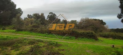 /international/pt/cartaxo-santarem-310108759141/?lang=it