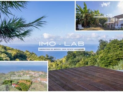 /international/pt/sao-jorge-santana-madeira-310101802611/