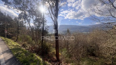 /international/pt/vilela-sao-cosme-e-sao-damiao-e-sa-arcos-de-valdevez-viana-do-castelo-310106739606/
