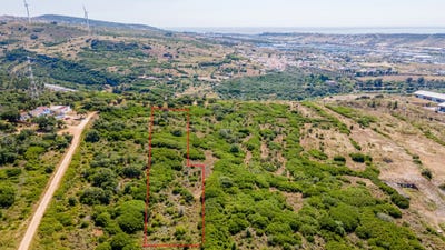 /international/pt/regueiras-as-galegas-santo-antao-e-sao-juliao-do-tojal-lisbon-310107703643/